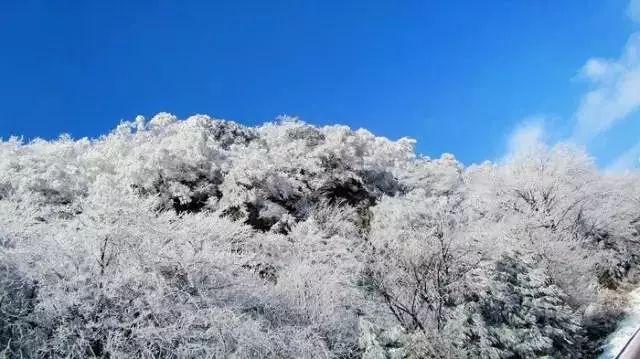 【建信聚焦】棉花:多头减仓成交缩量