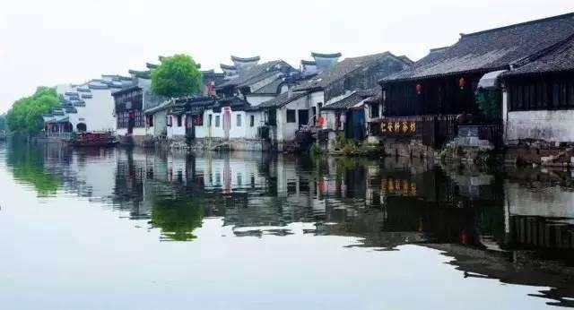 拯救穆尔小马